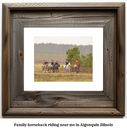 family horseback riding near me in Algonquin, Illinois